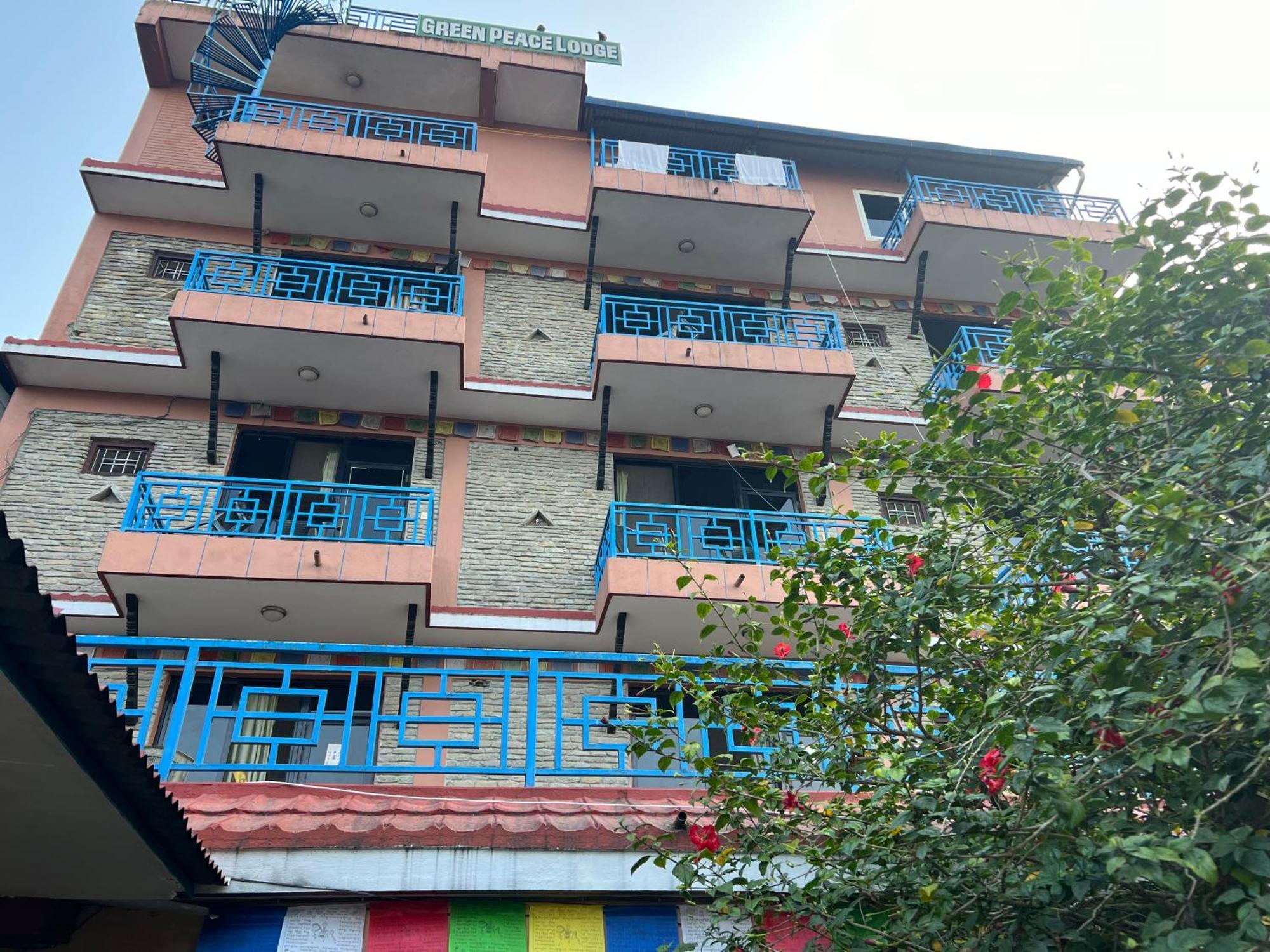 Little Pilgrim Family Lodge بوكْرا المظهر الخارجي الصورة