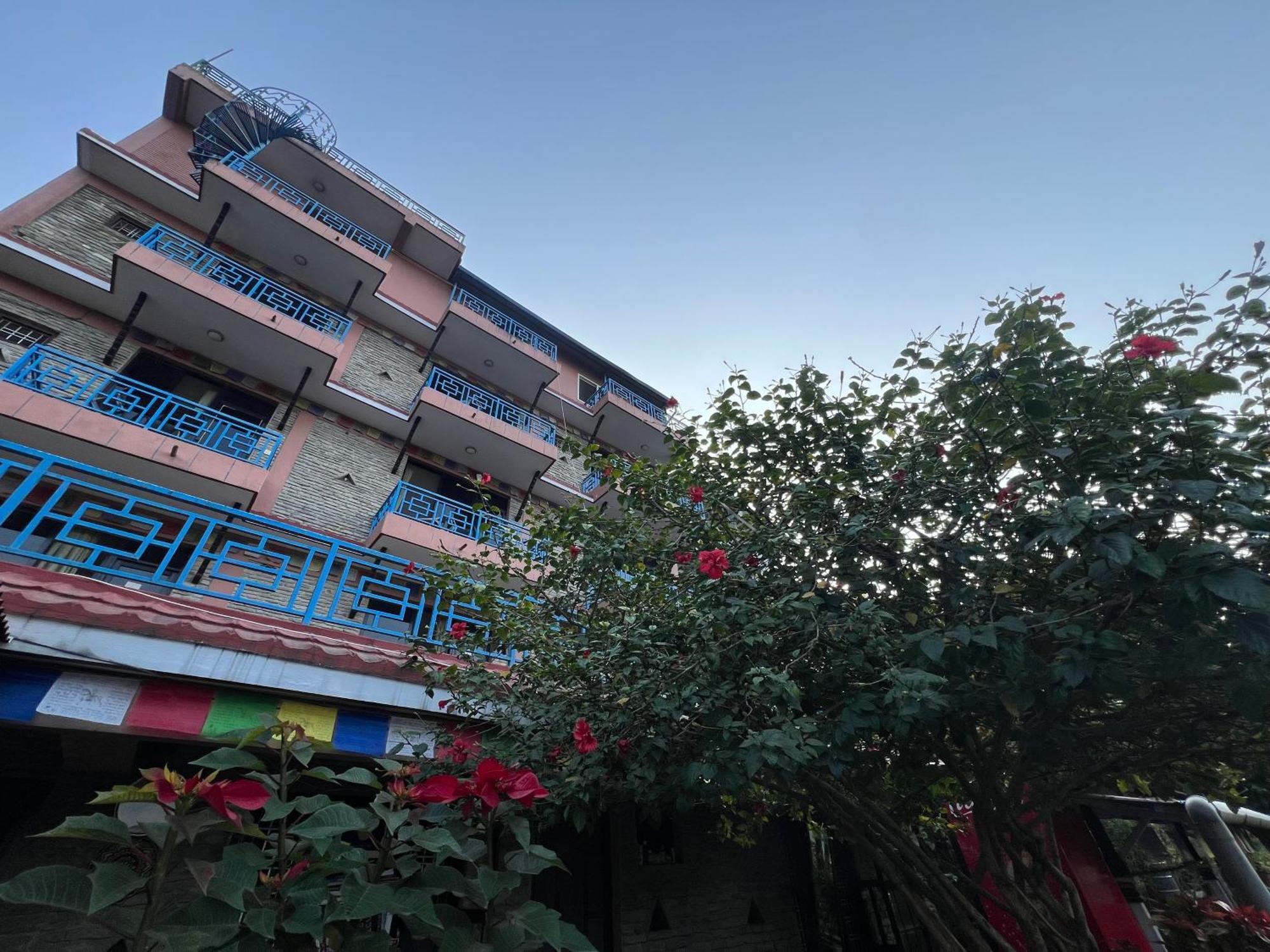 Little Pilgrim Family Lodge بوكْرا المظهر الخارجي الصورة